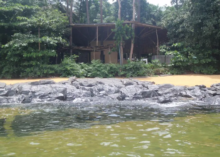 Daltons Banana Guesthouse